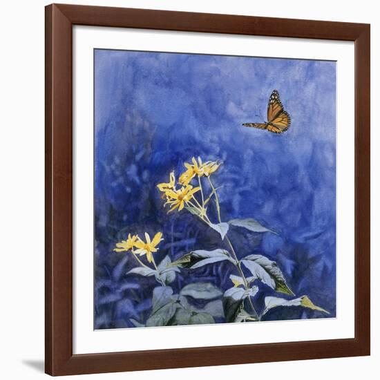 Monarch Butterfly-Rusty Frentner-Framed Giclee Print