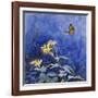 Monarch Butterfly-Rusty Frentner-Framed Giclee Print