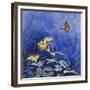 Monarch Butterfly-Rusty Frentner-Framed Giclee Print