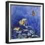 Monarch Butterfly-Rusty Frentner-Framed Giclee Print