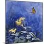 Monarch Butterfly-Rusty Frentner-Mounted Giclee Print