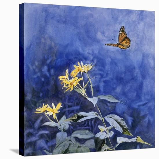 Monarch Butterfly-Rusty Frentner-Stretched Canvas