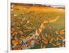 Monarch Migration-Fred Szatkowski-Framed Art Print