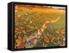 Monarch Migration-Fred Szatkowski-Framed Stretched Canvas