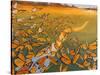 Monarch Migration-Fred Szatkowski-Stretched Canvas