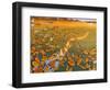 Monarch Migration-Fred Szatkowski-Framed Art Print