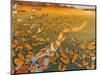 Monarch Migration-Fred Szatkowski-Mounted Art Print