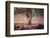 Monarch of the Forest-Alex Saberi-Framed Photographic Print