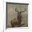 Monarch of the Glen by Edwin Landseer-Edwin Landseer-Framed Giclee Print