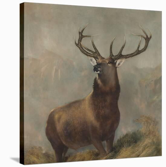 Monarch of the Glen by Edwin Landseer-Edwin Landseer-Stretched Canvas