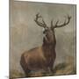 Monarch of the Glen by Edwin Landseer-Edwin Landseer-Mounted Giclee Print