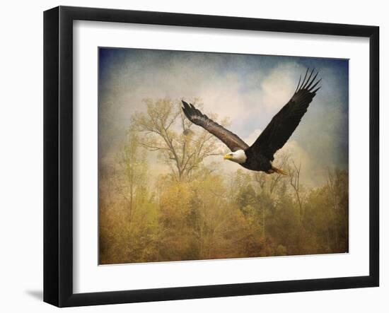 Monarch of the Skies Bald Eagle-Jai Johnson-Framed Giclee Print