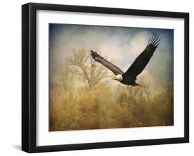 Monarch of the Skies Bald Eagle-Jai Johnson-Framed Giclee Print