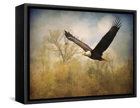 Monarch of the Skies Bald Eagle-Jai Johnson-Framed Stretched Canvas