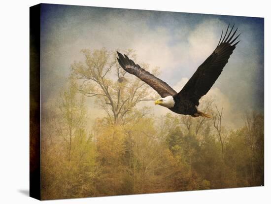 Monarch of the Skies Bald Eagle-Jai Johnson-Stretched Canvas