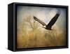 Monarch of the Skies Bald Eagle-Jai Johnson-Framed Stretched Canvas