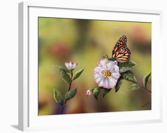 Monarch with Camellia-Sarah Davis-Framed Giclee Print