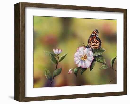 Monarch with Camellia-Sarah Davis-Framed Giclee Print