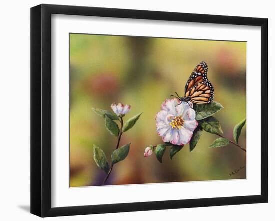 Monarch with Camellia-Sarah Davis-Framed Giclee Print