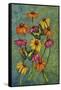 Monarchs and Sunflowers-Charlsie Kelly-Framed Stretched Canvas