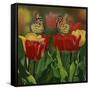 Monarchs and Tulips-William Vanderdasson-Framed Stretched Canvas