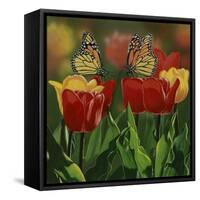 Monarchs and Tulips-William Vanderdasson-Framed Stretched Canvas
