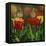 Monarchs and Tulips-William Vanderdasson-Framed Stretched Canvas