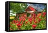 Monarda and Red Barn-Robert Goldwitz-Framed Stretched Canvas