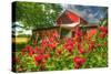 Monarda and Red Barn-Robert Goldwitz-Stretched Canvas