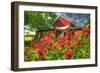 Monarda and Red Barn-Robert Goldwitz-Framed Photographic Print