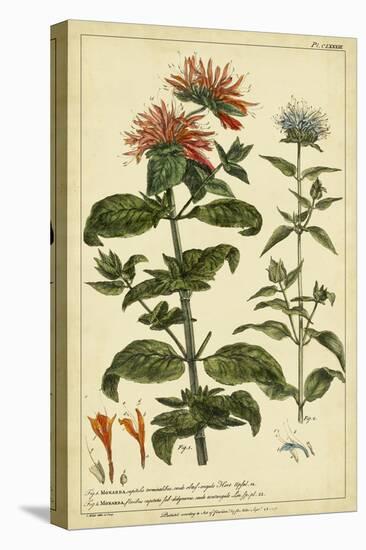 Monarda, Pl. CLXXXIII-Phillip Miller-Stretched Canvas