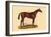 Monarque-L. Penicaut-Framed Art Print