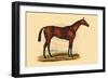 Monarque-L. Penicaut-Framed Art Print