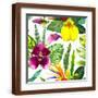 Brown Frame