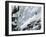 Monashee Mountains, British Columbia, Canada-null-Framed Photographic Print