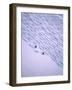 Monashee Mountains, Canada-null-Framed Photographic Print