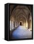 Monastery of Santa María De Vallbona-null-Framed Stretched Canvas