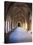 Monastery of Santa María De Vallbona-null-Stretched Canvas