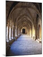 Monastery of Santa María De Vallbona-null-Mounted Art Print