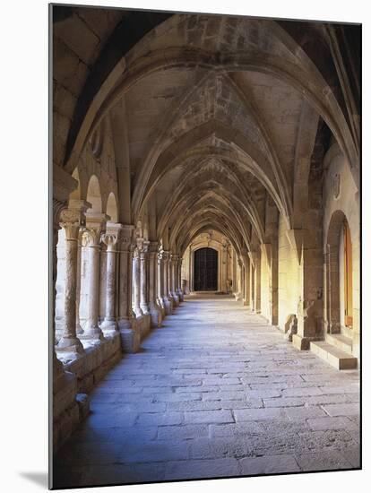 Monastery of Santa María De Vallbona-null-Mounted Art Print