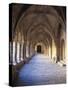 Monastery of Santa María De Vallbona-null-Stretched Canvas