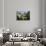 Monastery of St. Julian of Samos, Samos, Lugo, Galicia, Spain, Europe-Michael Snell-Photographic Print displayed on a wall