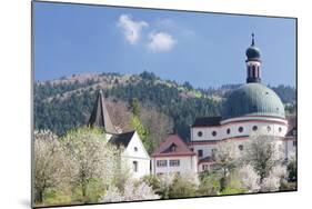 Monastery of St. Trudpert, Munstertal Valley, Black Forest, Baden Wurttemberg, Germany, Europe-Marcus-Mounted Photographic Print