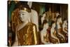 Monastery, Shwedagon Paya, Yangon (Rangoon), Myanmar (Burma), Asia-Tuul-Stretched Canvas