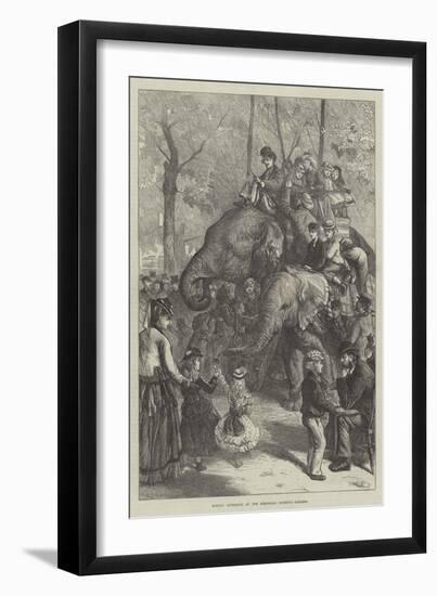 Monday Afternoon at the Zoological Society's Gardens-Charles Joseph Staniland-Framed Giclee Print