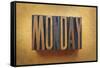 Monday-enterlinedesign-Framed Stretched Canvas