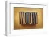 Monday-enterlinedesign-Framed Photographic Print