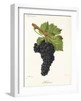 Mondeuse Grape-J. Troncy-Framed Giclee Print