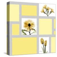 Mondrian Flowers 2-Albert Koetsier-Stretched Canvas