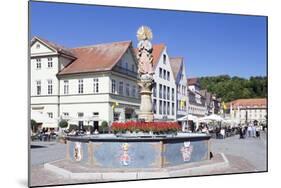 Mondsichelmadonna Sculpture, Marienbrunnen Fountain, Market Place Schwabisch Gmund-Markus Lange-Mounted Photographic Print